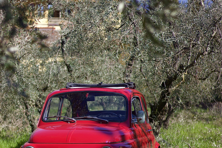 Buongiorno Fiat 500! Panoramic Guided up Michelangelo Plaza