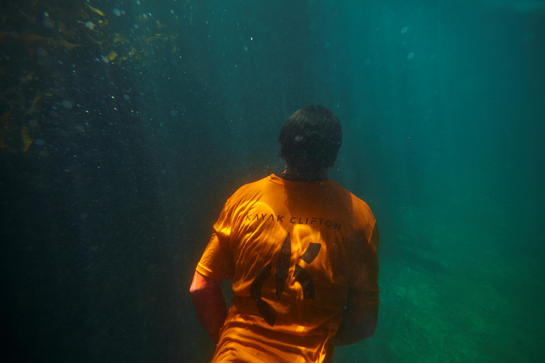 Cape Town: Guided Kayak Tour of Clifton Beaches & The Coast