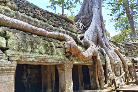 Angkor Wat, Ta Prohm y Bayon con puesta de solAngkor Wat y más allá con puesta de sol