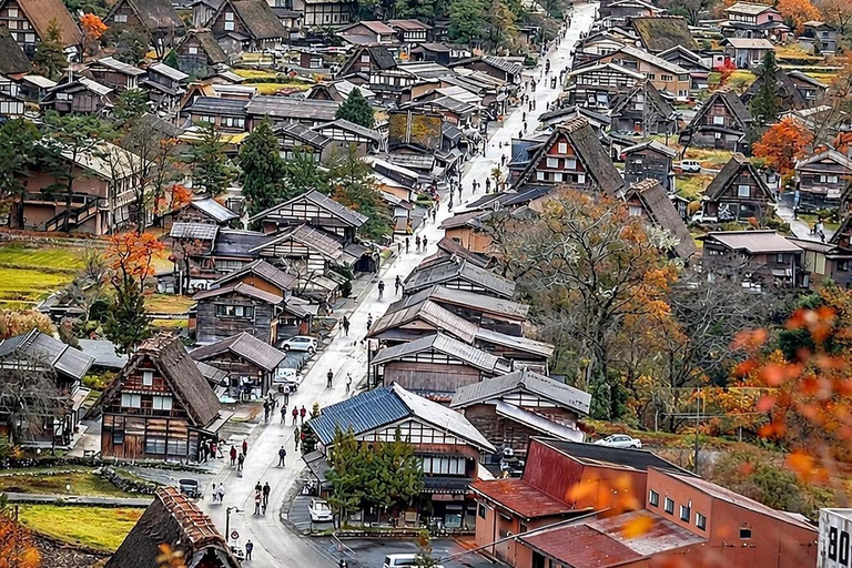 Kanazawa: Shirakawa-go & Takayama Private customize Day Trip