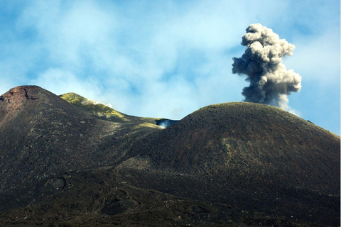 Mount Etna & Taormina Multi-language Tour from Palermo