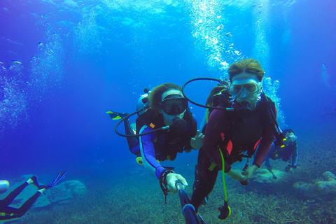 Alanya Scuba Diving Exprience w/Lunch & Transfer