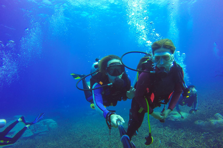 Alanya Scuba Diving Exprience w/Lunch & Transfer