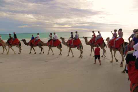 Agadir: Camel Ride With Tea in Falamingos River