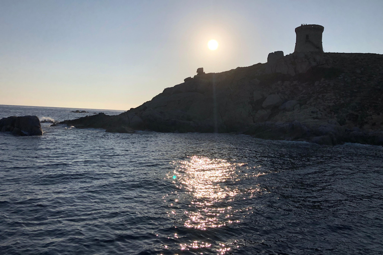 Sagone/Cargèse: Calanques de Piana und Capo Rosso BootstourVon Sagone