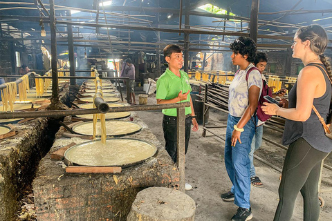 Phnom Penh: City Tour include S-21 Museum & Killing Field Haft Day: City Tour - No Killing Fields & Tuol Sleng