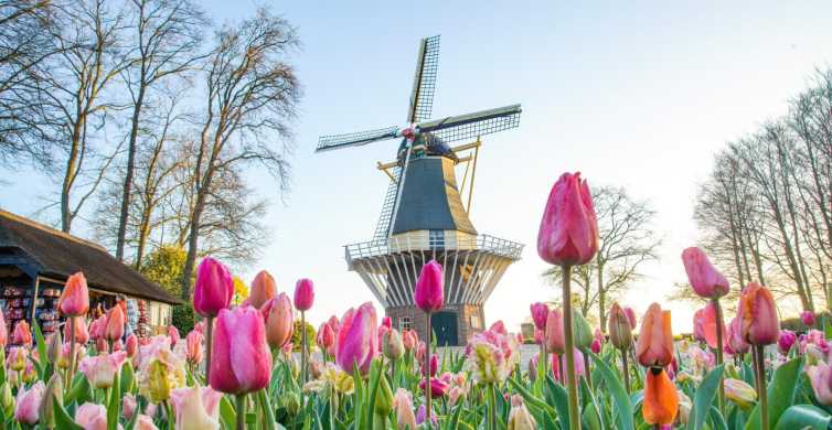 The 10 best things to do  in Netherlands with kids - Exploring Keukenhof Gardens