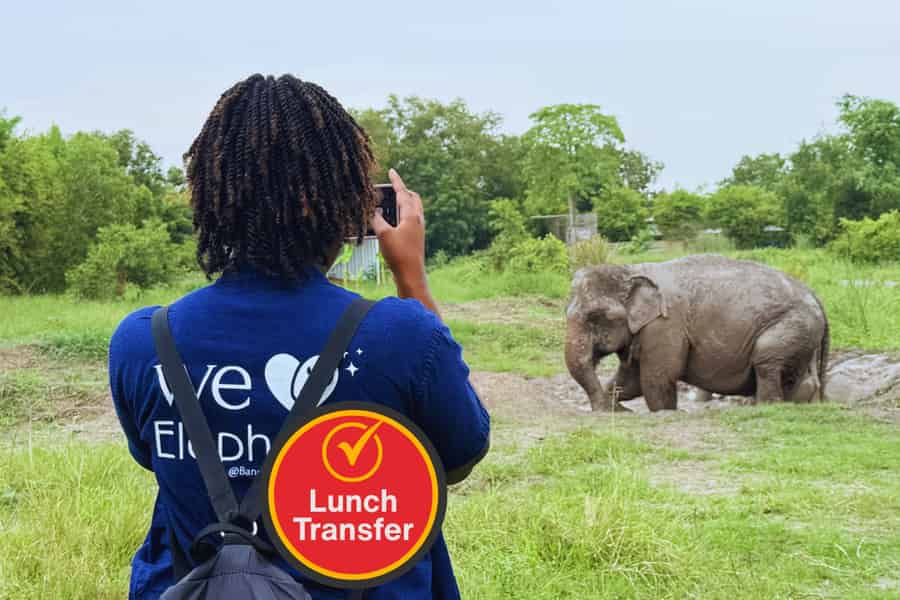 Bangkok: Führung im Elefanten-Schutzzentrum mit Hoteltransfer. Foto: GetYourGuide