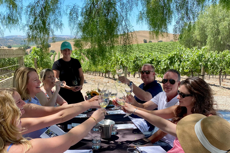 Santa Barbara: Private Guided Wine Tour With Lunch