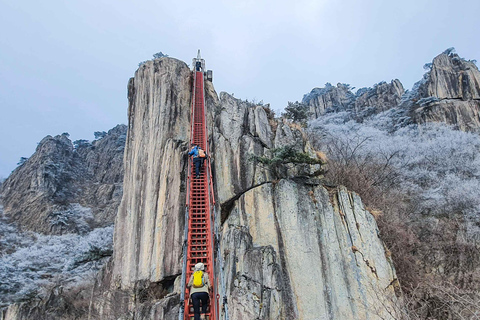 Jeonju Hanok Village and Daedunsan Serenity Nature Tour Departing from Dongdaemun H&C Park Station Exit 10