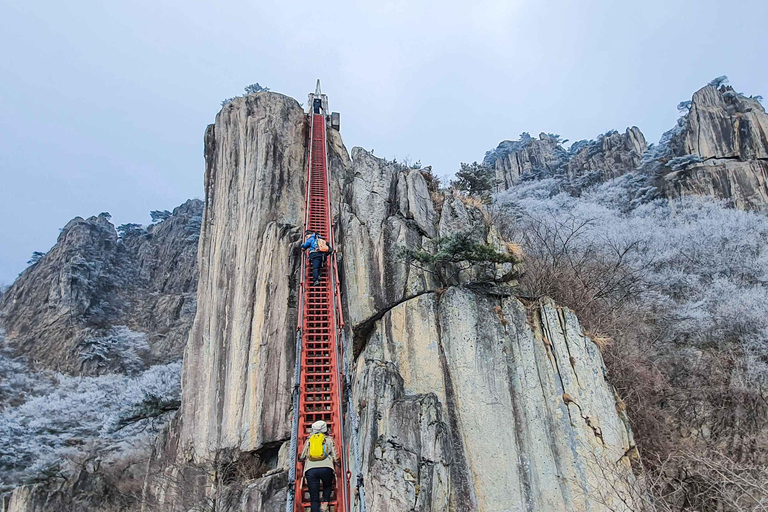Jeonju Hanok Village and Daedunsan Serenity Nature Tour Departing from Dongdaemun H&C Park Station Exit 10