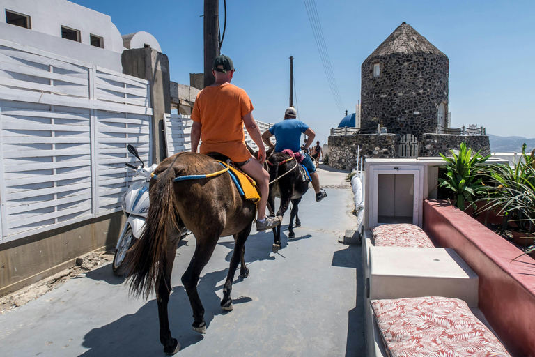 Visite unique de 3 heures de Santorin pour les passagers d&#039;un bateau de croisière