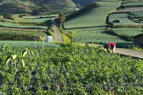 Yogyakarta: Nepal Van Java & Vegetable Village Tour