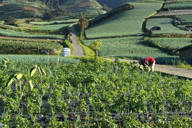 Yogyakarta: Nepal Van Java & Vegetable Village Tour