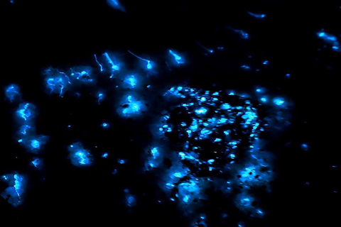 Kota Kinabalu: 1-Day Mengalum Isle & Mengkabong River Cruise Mengalum Island Only