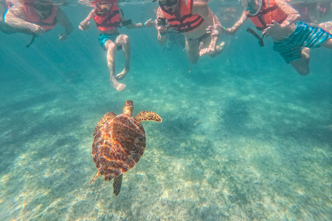 Cancun: Tulum Ruins, Akumal Turtles, Cenote & Caves Snorkel From Cancun