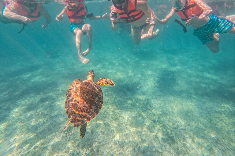 Cancun: Tulum Ruins, Akumal Turtles, Cenote & Caves Snorkel From Cancun