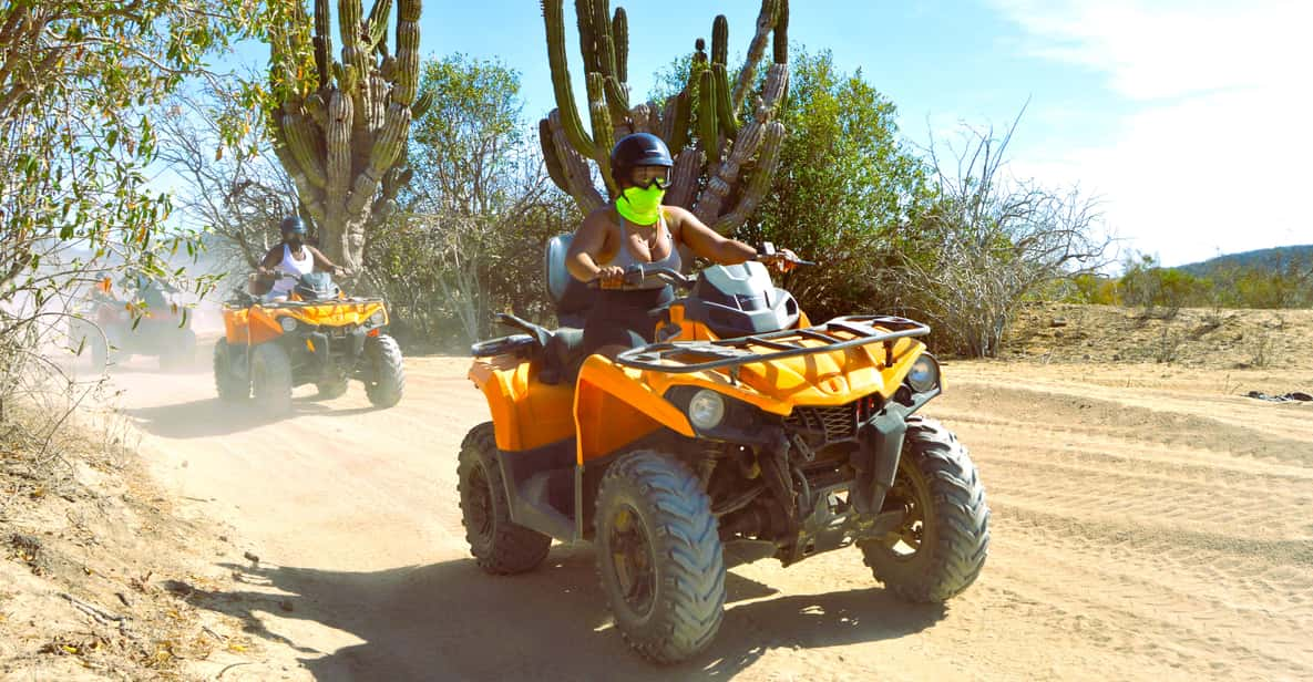 Cabo San Lucas Migriño Beach Desert ATV Tour GetYourGuide