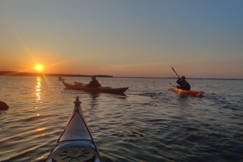 Roskilde : Kayak guidé sur le fjord de Roskilde : Excursion au coucher du soleil