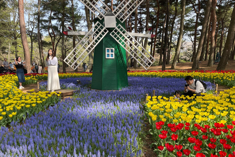 From Shinjuku: Hitachi Seaside Park & Ashikaga Flower Park