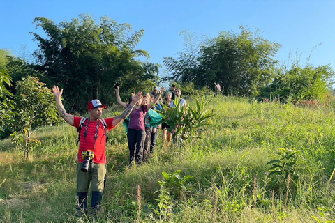 Authentic trek only walk in Chiang Rai jungle Authentic trek only walk in ChiangvRaiv jungle