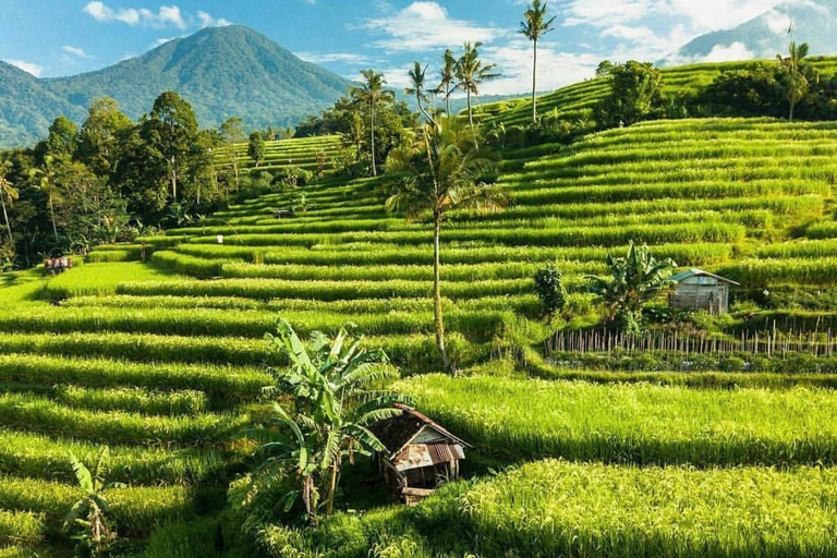 Tanah Lot-Nung Nung Waterfall-Jatiluwih e Bedugul