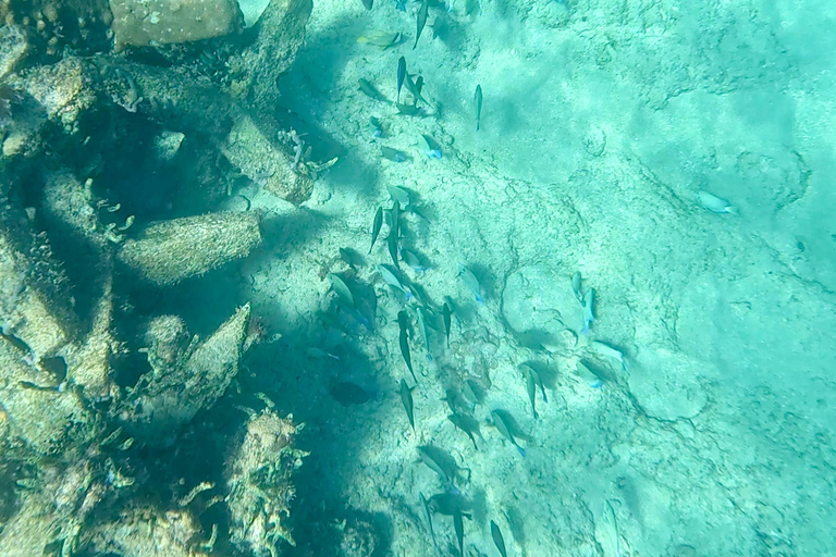 Fort Lauderdale: Ocean Reef Snorkel Tour w/ Snacks & Drinks