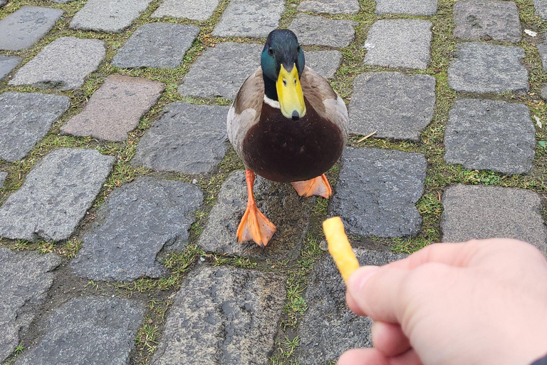 2-Day Tour from Paris: Luxembourg, Brussels, Ghent & Bruges