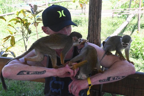 Amber Cove & Taino Bay: Private VIP Monkeys & Beach Escape