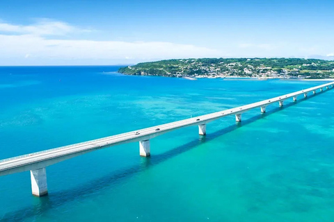 Kumejima : aquarium Churaumi d&#039;Okinawa, Manzamo, parc de l&#039;ananasBanque SMBC Shinjuku West Exit 9h30 (week-end et jours fériés 8h30)