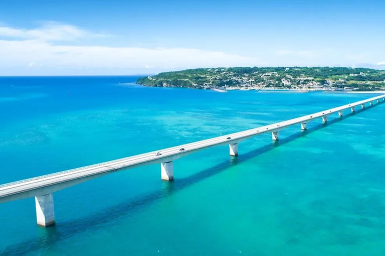 Kumejima : aquarium Churaumi d&#039;Okinawa, Manzamo, parc de l&#039;ananasBanque SMBC Shinjuku West Exit 9h30 (week-end et jours fériés 8h30)