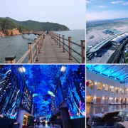 Private Tour on a Premium eSUV @Incheon (Drop-off/layover)