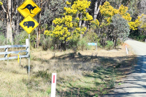 Sydney Wildlife Safari