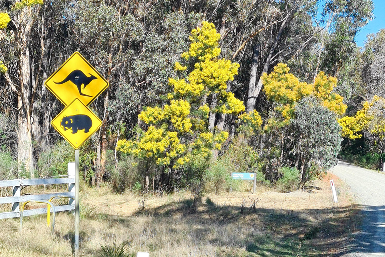 Safari por la naturaleza en Sídney