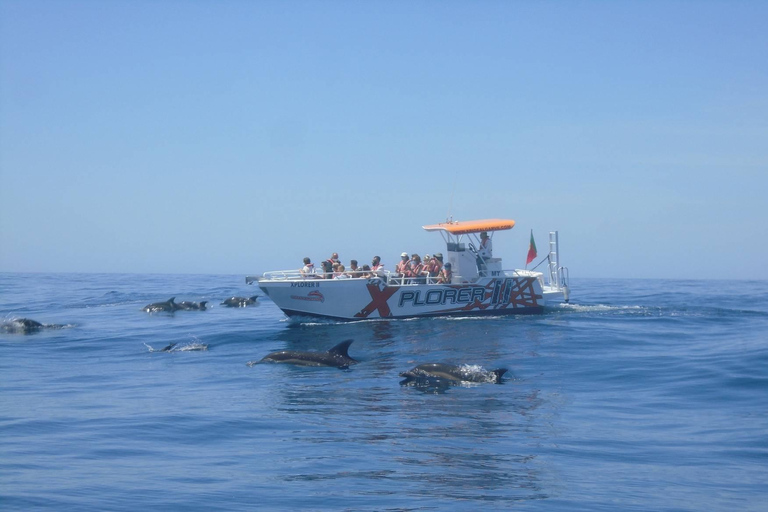 X Plorer – Caves (Benagil) & Dolphins Cruise Private X Plorer – Caves (Benagil) & Dolphins Cruise