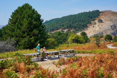 Thassos: Jeep Safari to Kastro, Ipsarion, and Maries