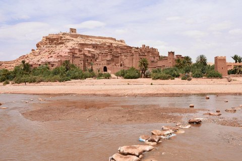 From Fes: 3-Day Merzouga Desert Tour to Marrakech Standard Desert Camp Experience (Shared Facilities)