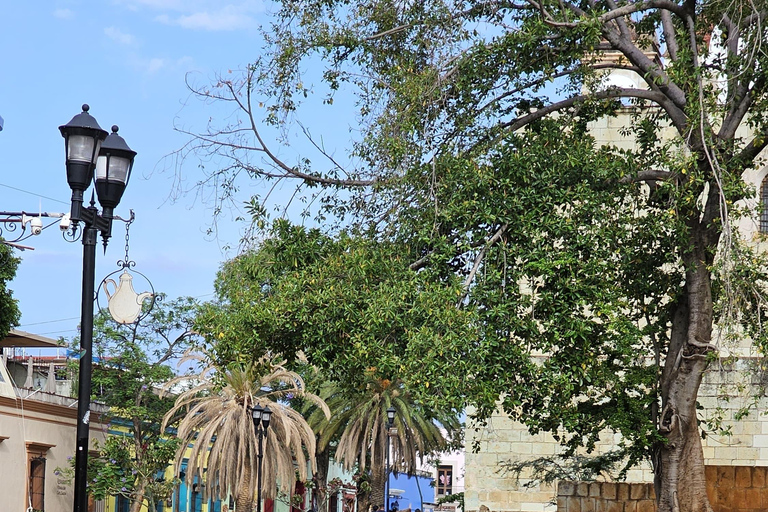 Oaxaca: Sesión Fotográfica por un Modelo Mr Oaxaca