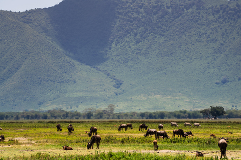 Sansibar: 4-tägige Safari-Reise zum atemberaubenden NatronseeAtemberaubende Lake Natron Safari Reise - Komfortable Unterkunft