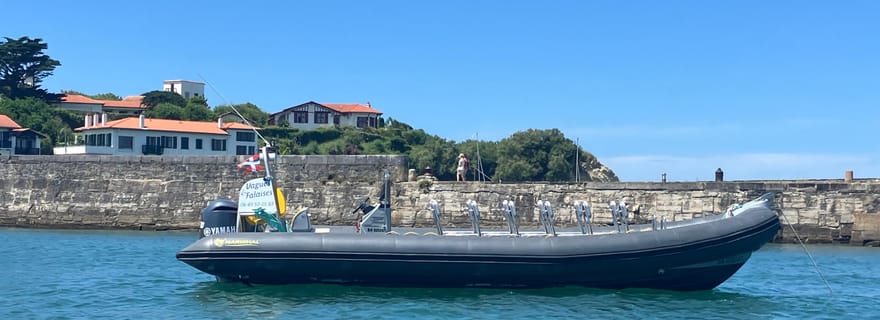 Socoa, Saint-Jean-de-Luz: croisière de 2h30 le long de la côte basque