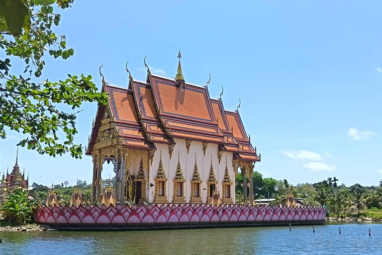 Koh Samui: Private Customizable Tour with Driver and Guide
