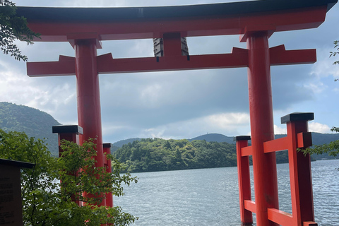 4-Daagse privétour Mt Fuji, Hakone, Nikko en Tokio.