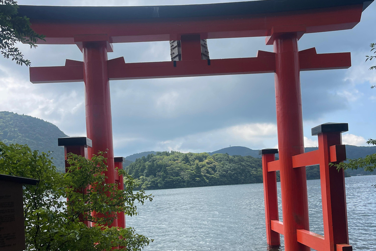 4-Daagse privétour Mt Fuji, Hakone, Nikko en Tokio.