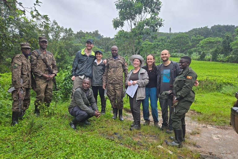 Dagstur i vulkanernas nationalpark - Gorillatrekking i Rwanda