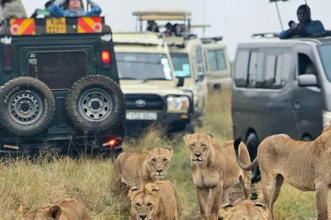 Nairobi: Sheldrick Elephant Orphanage and 3 Hours Game Drive