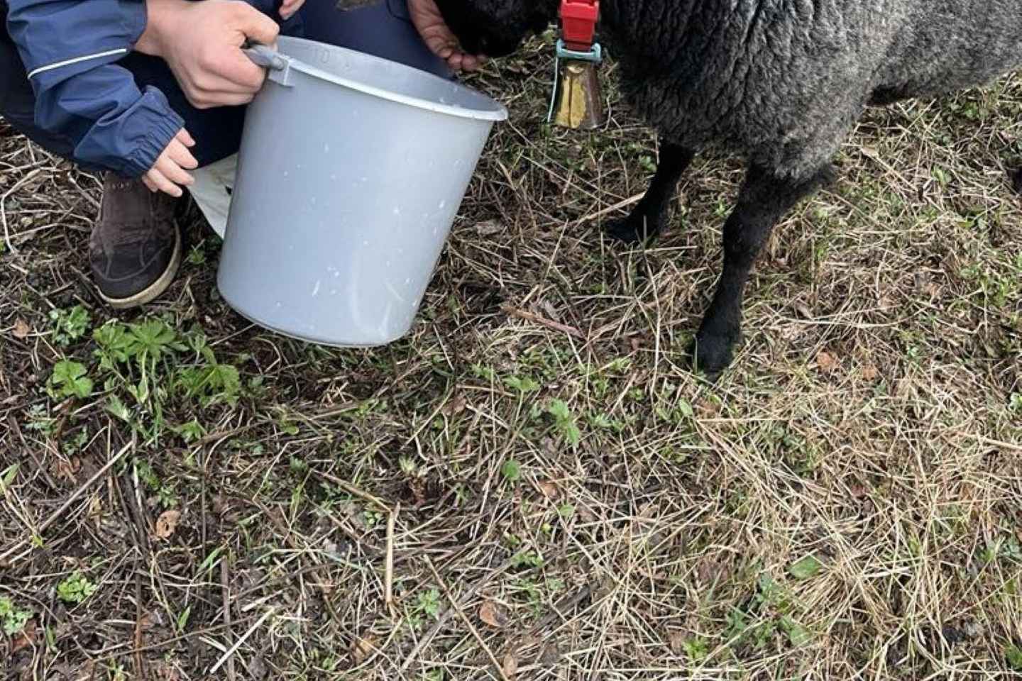 Tromsø: Norwegian farmvisit with guide