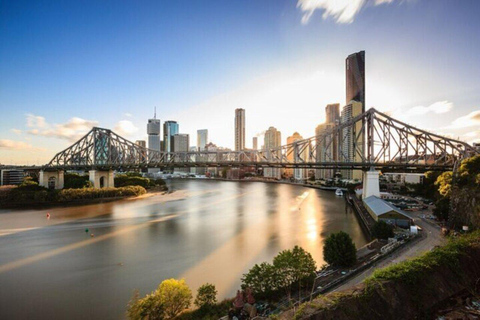 Brisbane: City Highlights Tour privato a piedi