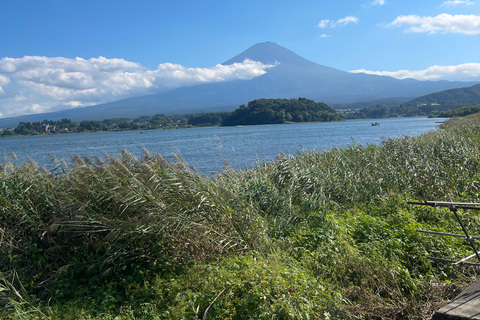 4-Daagse privétour Mt Fuji, Hakone, Nikko en Tokio.