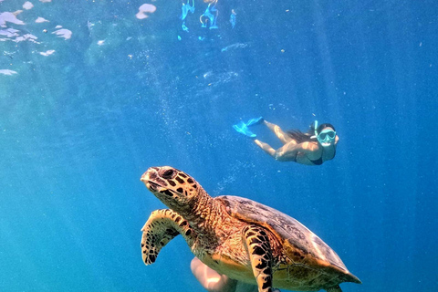Gili Trawangan: Private 3-Island Snorkeling Tour with GoPro