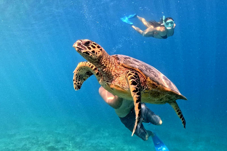 Gili Trawangan: Private 3-Island Snorkeling Tour with GoPro